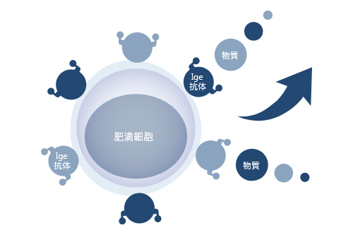 化学伝達物質の放出