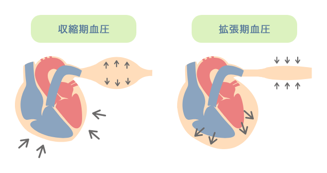 収縮期血圧と拡張期血圧について